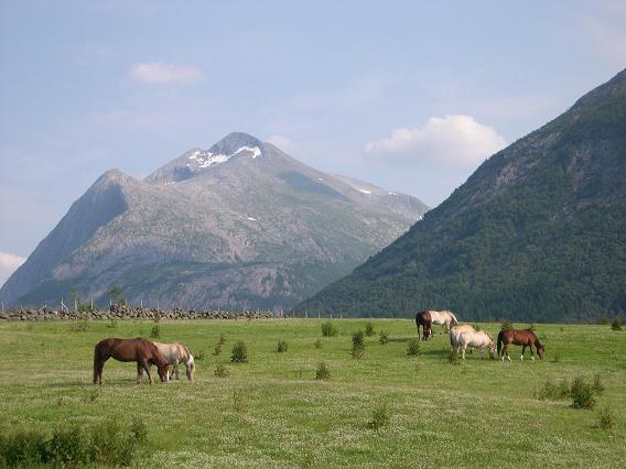 Uskedalen Donhaug Gjestegard المظهر الخارجي الصورة